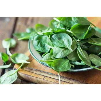 spinach (6)-8632096-4552.webp